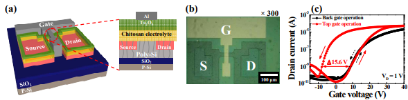 (a) 유-무기 하이브리드 EDL 적용 Top-gate 구조 Poly-Si 시냅스 트랜지스터의 구조도 및 단면도와 (b) 미세패턴의 광학 현미경 사진 (×300). (c) VD = 1 V 에서의 전달 특성 곡선