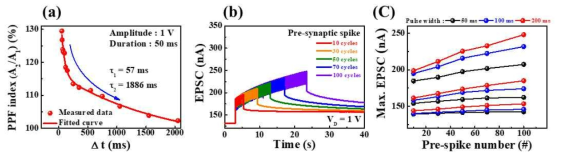 (a) PI 기판 상 유-무기 하이브리드 EDL 적용 Top-gate 구조 시냅스 트랜지스터의 이중 시냅스 펄스 자극에 대한 신경 가소성 변화 특성. (b) 다중 전 시냅스 스파이크 펄스에 따른 후 시냅스 전류 특성. (c) 다중 전 시냅스 스파이크의 진폭 크기, 너비에 따른 최대 후 시냅스 전류 변화