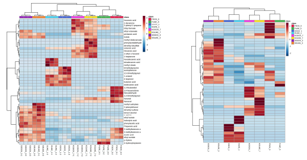 Heatmap of differences in volatile compounds in edible insect oils by using two extraction methods (UAE and soxshlet)