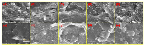 리그닌-기반 LDPE 복합재 SEM 사진: Lignin 함량 (A) 10 wt-%, (B) 20 wt-%, (C) 30wt-%, (D) 40 wt-%, (E) 50 wt-%; PEGMA-Lignin 함량 (a)10 wt-%, (b) 20 wt-%, (c) 30 wt-%, (d) 40 wt-%, (e) 50 wt-%