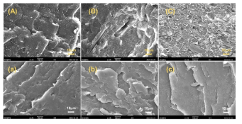 리그닌-기반 LDPE 복합재 SEM 사진: Lignin 함량 (A) 10 wt-%, (B) 20 wt-%, (C) 30 wt-%; PEGMA-Lignin 함량 (a)10 wt-%, (b) 20 wt-%, (c) 30 wt-%.