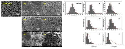 발포체 모폴로지(좌) 및 셀 크기분포도 (우)