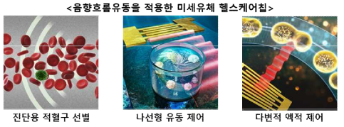 음향흐름유동 기반 응용 연구