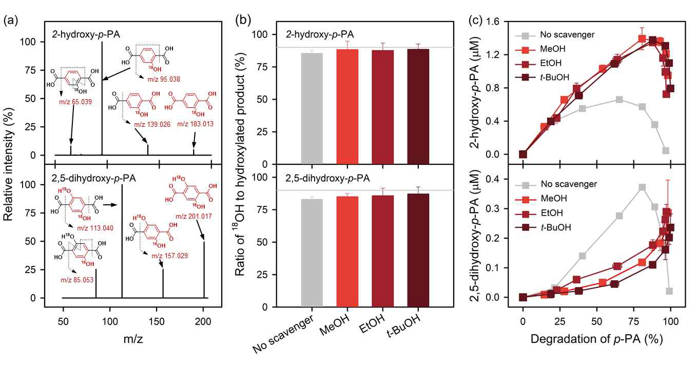 (a) MS/MS spectra, (b) ratio of 18OH to hydroxylated products, and (c) their production profiles in the absence and presence of different •OH scavengers as a function of p-PA degradation