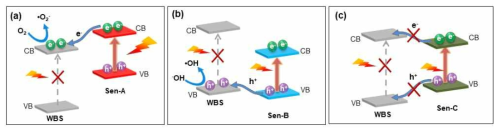 Type-A, B, C 접합형 가시광 광촉매에서의 전하이동 모식도(WBS: wide bandgap semiconductor, Sen: visible-light absorbing sensitizer)