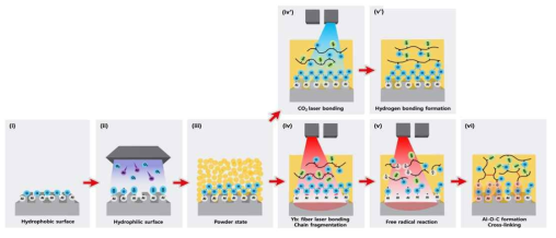 CO2 및 Fiber 레이저 소결 시 금속-플라스틱 계면 결합 메커니즘(ⅳ’&ⅴ’: CO2 레이저 결합 , ⅳ&ⅴ: Fiber 레이저 결합 )