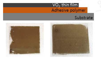 전사인쇄 한 VO2 박막의 단면도와 사진