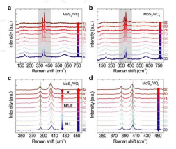온도에 따른 MoS2/VO2 샘플 의 라만 스펙트럼
