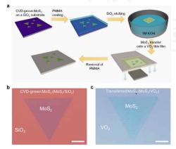 MoS2 전사인쇄 공정 모식도 및 광학현미경 사진