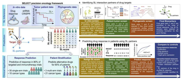(왼쪽) SELECT 암 정밀의학 플랫폼. (1) 세포주 약물반응 및 CRISPR, RNAi screening을 통하여 세포주에서 합성치사후보 유전자쌍 발굴 후 환자 빅데이터를 통해 환자에서 효과를 보일 유전자 쌍을 선별하고, 이를 phylogenetic profile을 통해최종적으로 선정. (2) 발견된 합성치사 유전자 쌍을 통하여 개별 환자에 대해 주어진 약물에 대한 반응률을 예측하는 SL-score계산. (3) SL-score를 바탕으로 항암제에 대한 환자의 반응성을 예측하고, 환자에게 가장 적합한 항암제를 제시하고자 함. (오른쪽) (A) 합성치사 유전자쌍을 선정하는 과정: in vitro screen -> patient tumor screen -> phylogenetic screen -> finalbiomarker selection (B) 항암제 반응 예측 과정: SL-score 계산 -> 반응 여부 특정 -> 반응률 예측