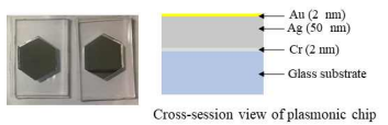 형광과 플라즈몬 폴라리톤 커플링을 일으키는 SPCE 칩 디 자인 (오른쪽 그림) 및 제작 (왼쪽 그림)