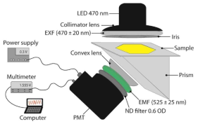 SPCE(Surface Plasmon Coupled Emission)에 의해서 증폭된 형광신호를 검출하는 프리즘 기반 검출 시 스템 구조도