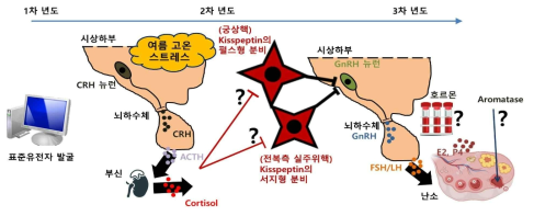 본 연구개발과제의 목표와 연차별 내용