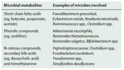 metabolites와 관련 있는 microbes