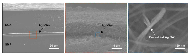 형상기억폴리머와 은 나노와이어 기반의 가변강성을 지닌 전도성 복합체 층 구조 주사전자현미경 이미지