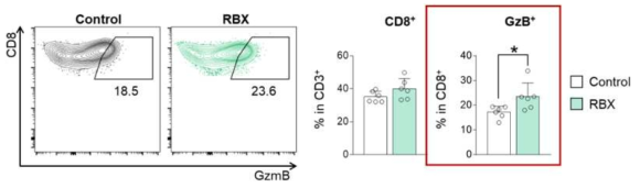 CT26대장암에서 RBX투여에 따른 종양내 CD8 T세포의 세포독성 변화