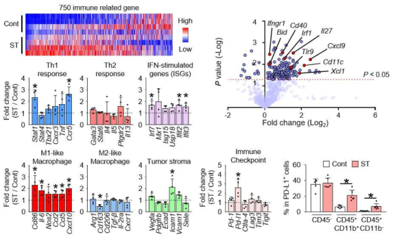 STING-cGAS 신호 경로 활성화에 따른 종양 미세환경의 유전자 변화