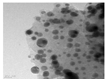 1%Pd/13X DA TEM 분석