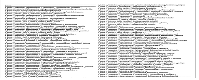 Taxonomic information of microbial community inside seeds