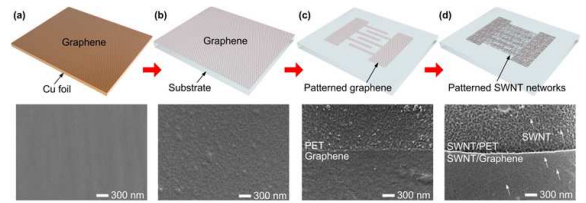 탄소 나노튜브-그래핀 하이브리드 구조 제작 공정 모식도 및 주사현미경 사진. (a) 그래핀 합성, (b) PET 기판에 그래핀 전사, (c) 그래핀 패터닝, (d) 탄소 나노튜브 패터닝