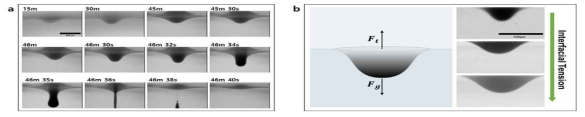 . (a) 물-물 계면에서 콜로이드 입자 응집체의 시간별 탈착 과정. (b) 계면장력-증력 균형 모식도 및 계면장력 크기와 콜로이드 입자응집체 크기의 비례 관계