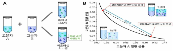 (A) 혼화성/비혼화성 시스템의 모식도. (B) 물-물 계면의 상 다이어그램의 모식도