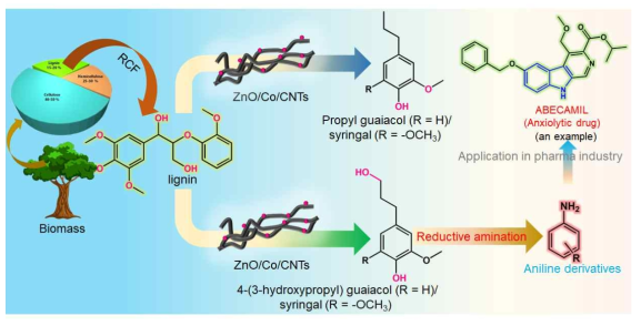 Schematic repreparation of amination process of phenolic monomers to aryl amines