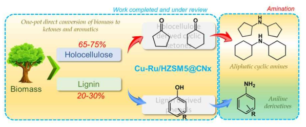 Schematic repreparation of complete biomass conversion to cyclic ketones and phenolic derivatives which could further converted to drug intermediates via amination