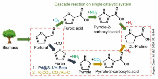 Mechanism of new approach to produce DL-proline and comparison with latest report