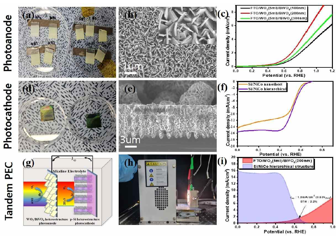 (a-c) WO3/BiVO4 이종접합구조광양극이미지및광전류밀도 (d-f) Si/NiCo hydroxide 이종접합 구조 광음극 이미지 및 광전류밀도 (g) 탠덤형 무전원 PEC 시스템 모식도 (h) PEC 측정 시스템 이미지 (i) 탠덤형 무전원 광양극-광음극 PEC특성 및 STH