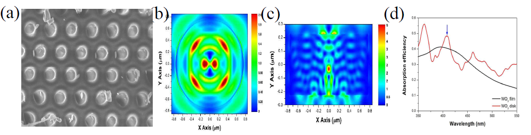 (a) SEM image of WO3 photoanode. Simulated electric field intensity distribution of WO3; (b) Top-view and (c) Cross-sectional view, (d) Absorption efficiency spectra