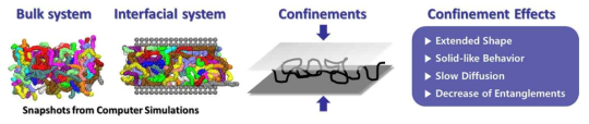 Confinement Effects of Nanoscale Interfacial Polymer System