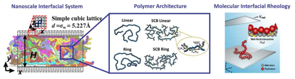 Nanoscale interfacial nonlinear polymer system