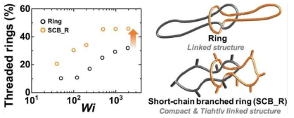 외부 유동장 하 short chain branche dring polymer melt 시스템