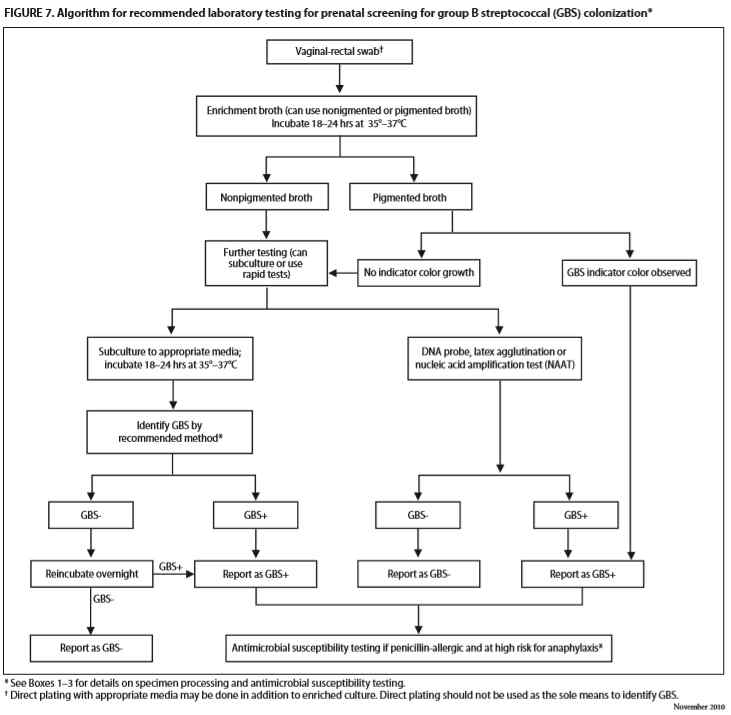 Algorithm for recommended laboratory testing for prenatal screening for group B streptococcal (GBS) colonization. CDC