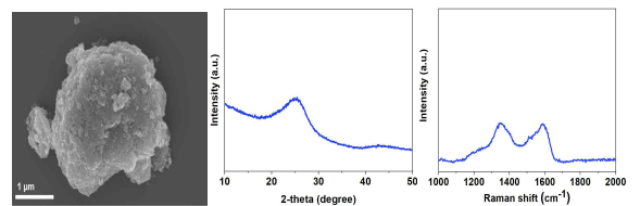 SBG샘플의 열처리 후 전자주사현미경 이미지 및 XRD, Raman 분석 결과