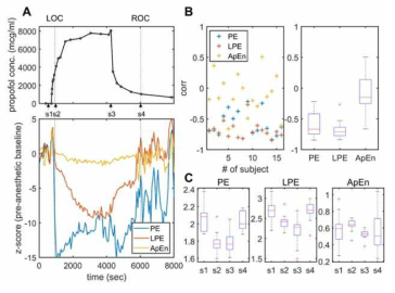 Lumped Permutation Entropy 방법론을 통한 마취중 뇌의 복잡성 정량화