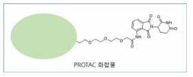 PROTAC 화합물