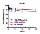 생쥐 혈액에 대한 K58-R78번 유래 펩타이드의 용혈 조사
