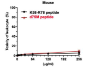 생쥐 백혈구에 대한 K58-R78번 유래 펩타이드의 독성 조사