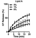 K58-R78번 펩타이드와 Lipid A 관계 확인