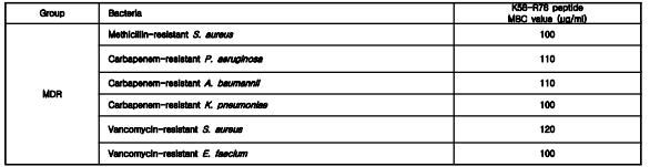 항생제 내성 균주에 대한 K58-R78번 펩타이드의 항균력 확인