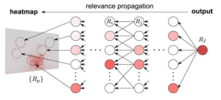 The Procedure of Relevance Propagation