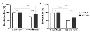 Effects of volatile organic compounds of CNUC9 on Arabidopsis seed germination and survival rates under non-stress and salt-stress conditions