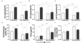Effects of CNUC9 VOCs on physiological change in A. thaliana under non-stress and salt stress condition for 10 days