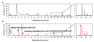 GC-MS analysis of VOCs of CNUC9 grown on nutrient agar medium for 3 days