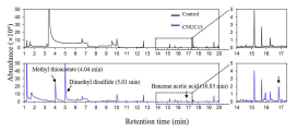 GC-MS analysis of VOCs of CNUC13 grown on nutrient agar medium for 3 days