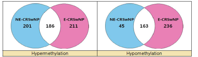 DNA methylation analysis