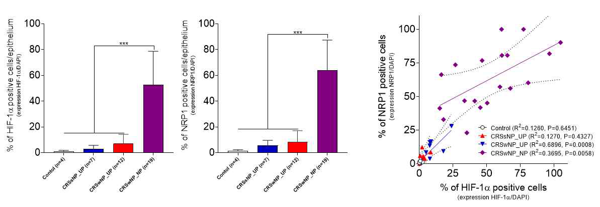 HIF-1α 및 NRP1의 상관관계 분석