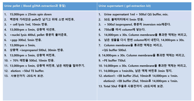 본 연구의 독자적인 ctDNA 추출 매뉴얼